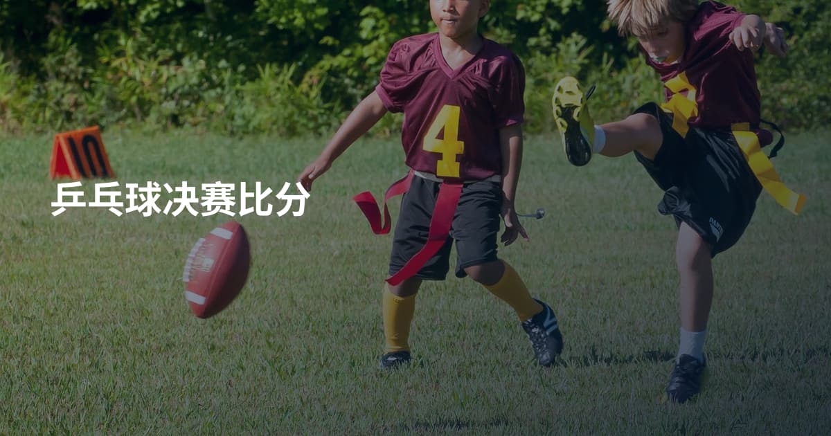 乒乓球决赛比分