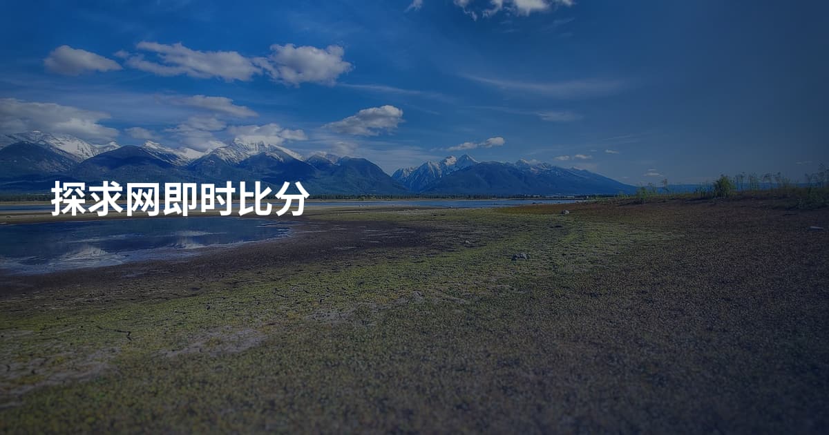探求网即时比分