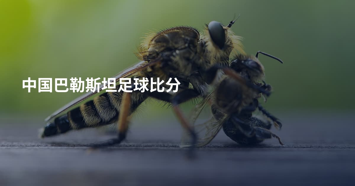 中国巴勒斯坦足球比分