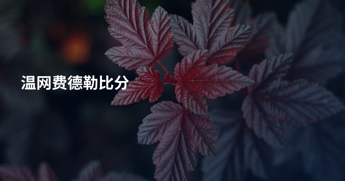 温网费德勒比分