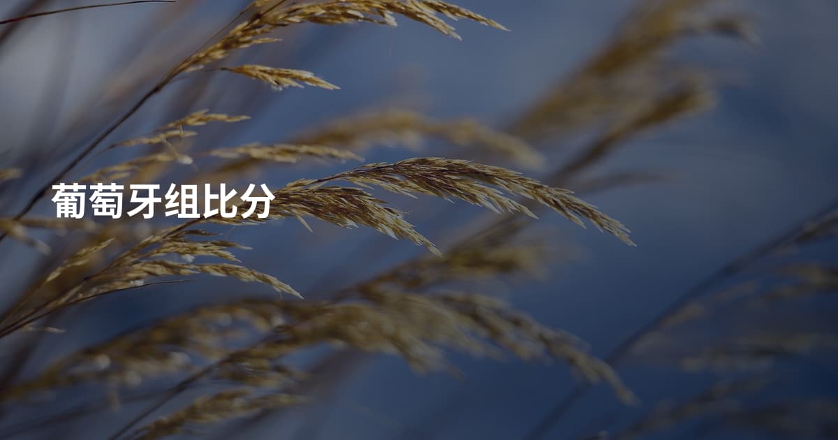 葡萄牙组比分