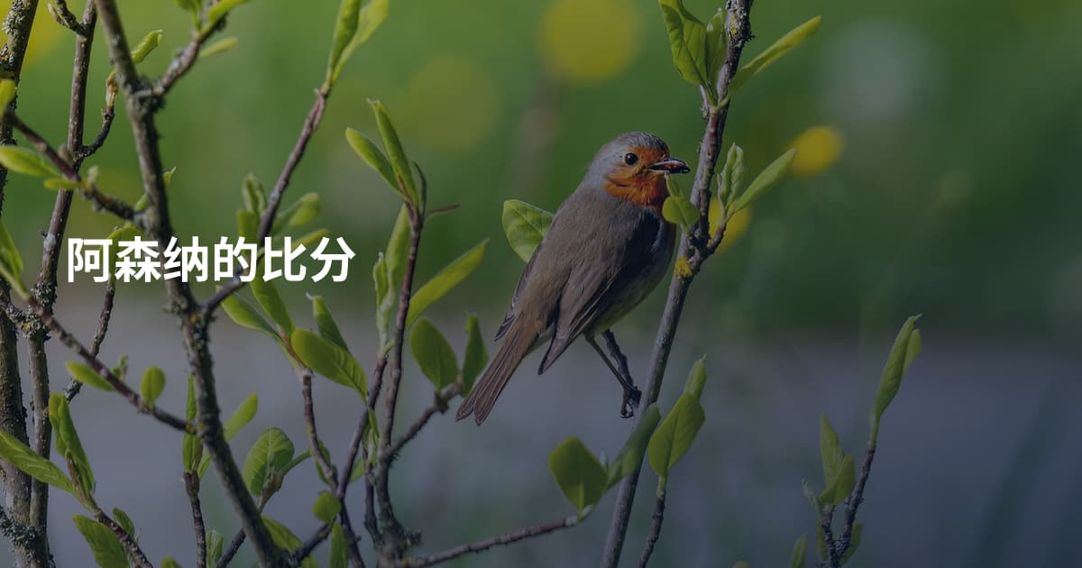 阿森纳的比分