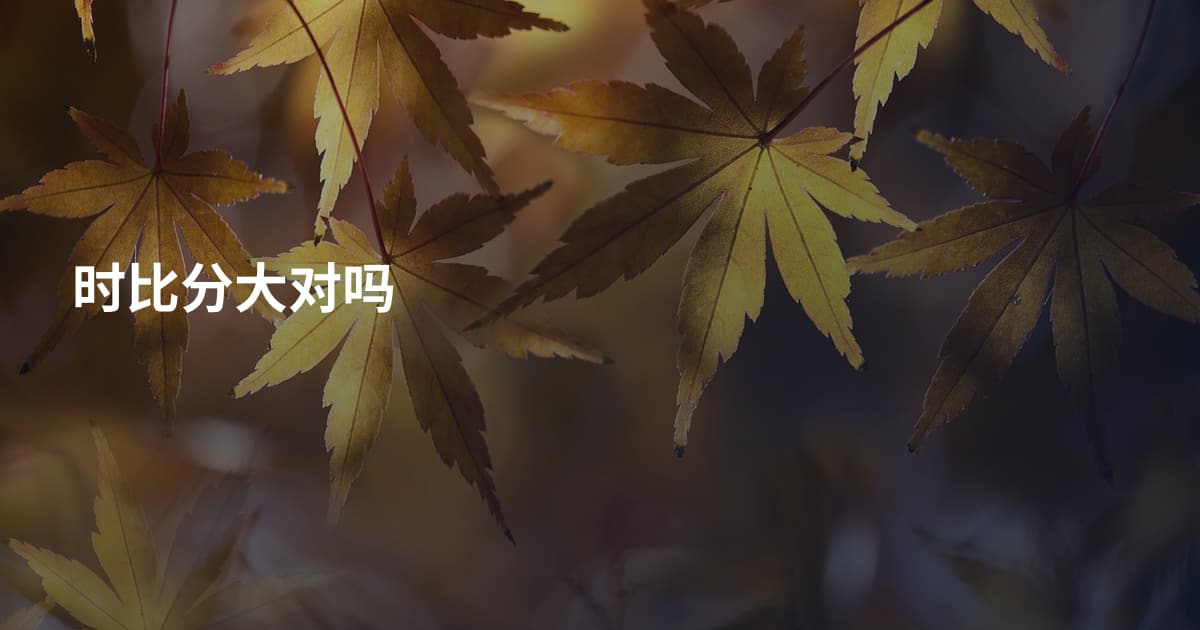 时比分大对吗