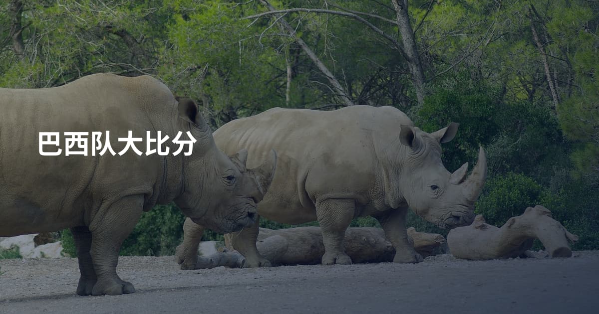 巴西队大比分