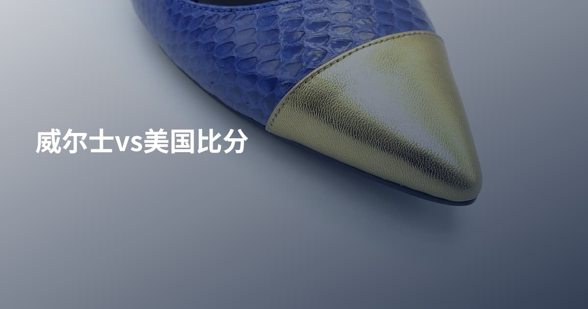 威尔士vs美国比分