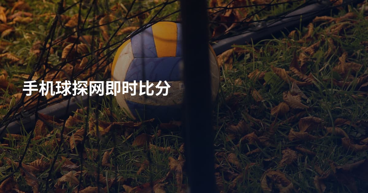 手机球探网即时比分