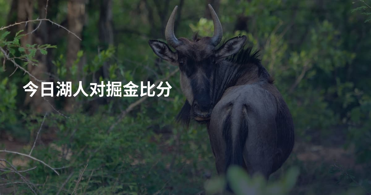 今日湖人对掘金比分