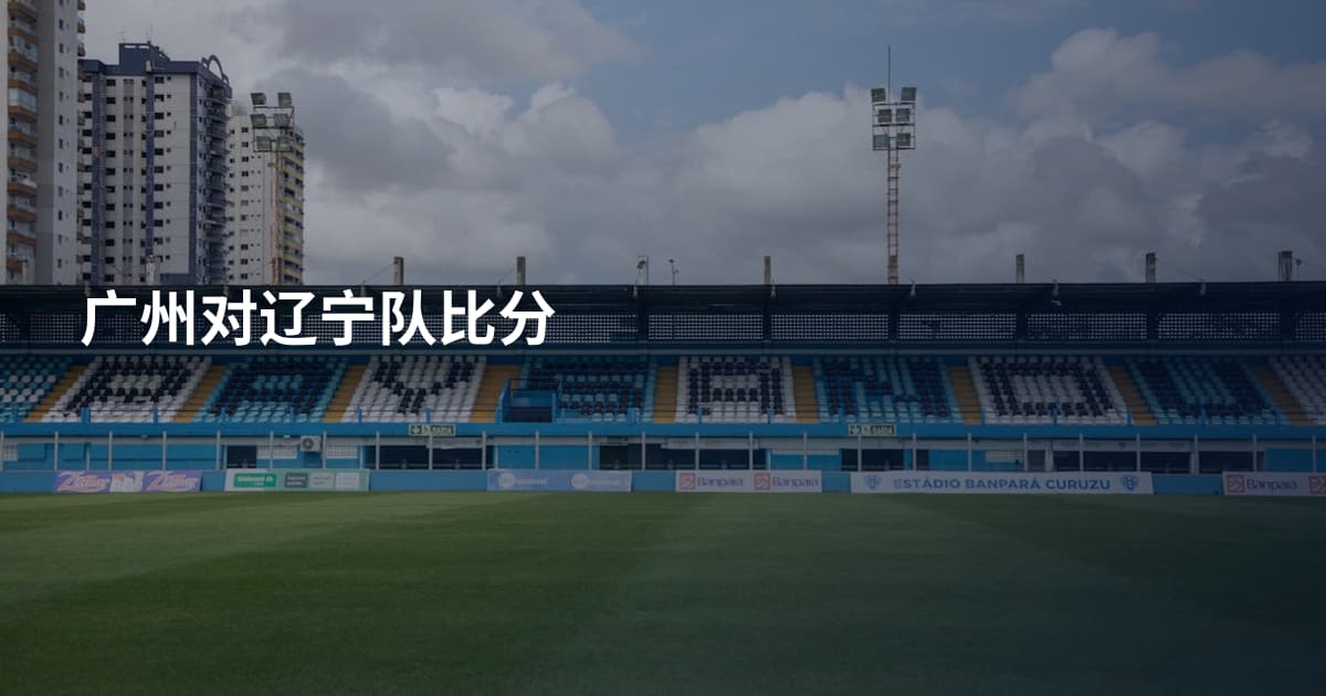 广州对辽宁队比分