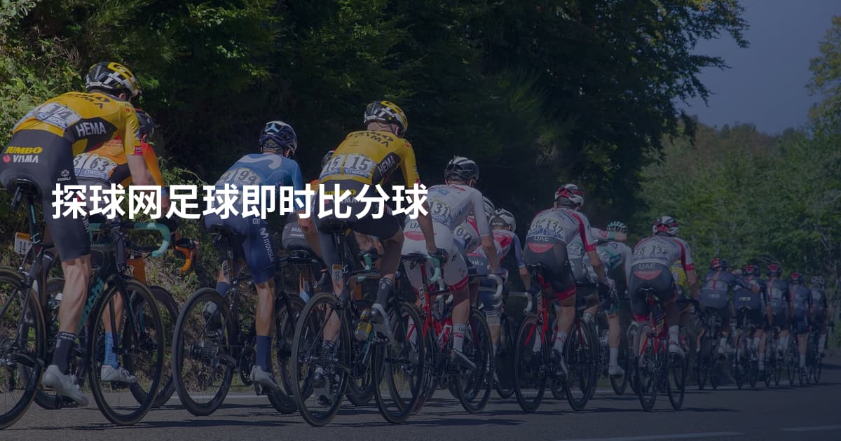 探球网足球即时比分球