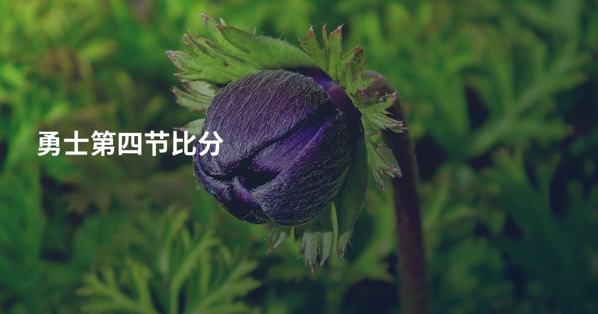 勇士第四节比分