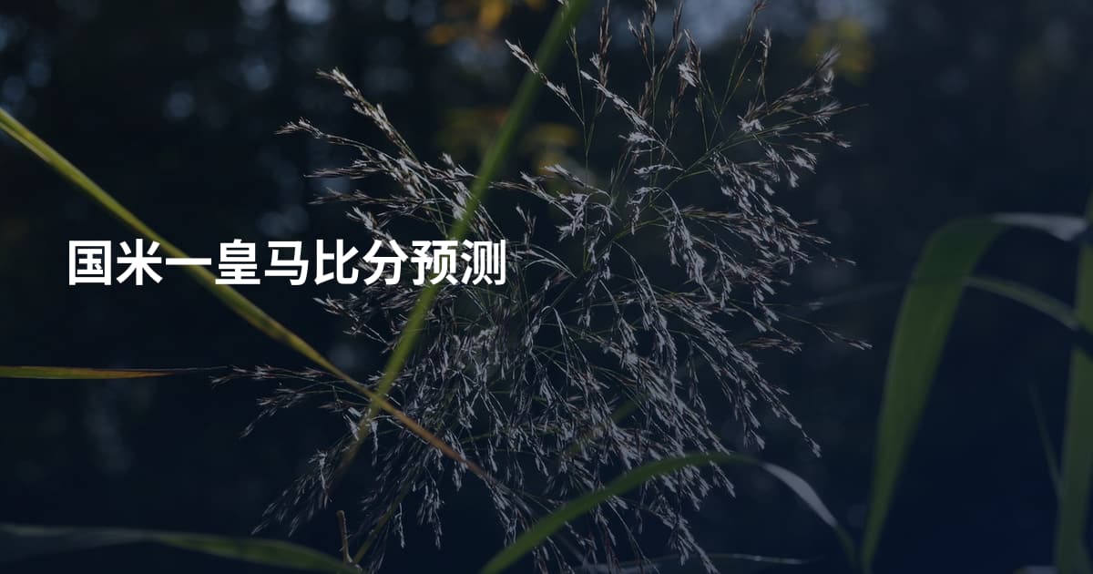 国米一皇马比分预测
