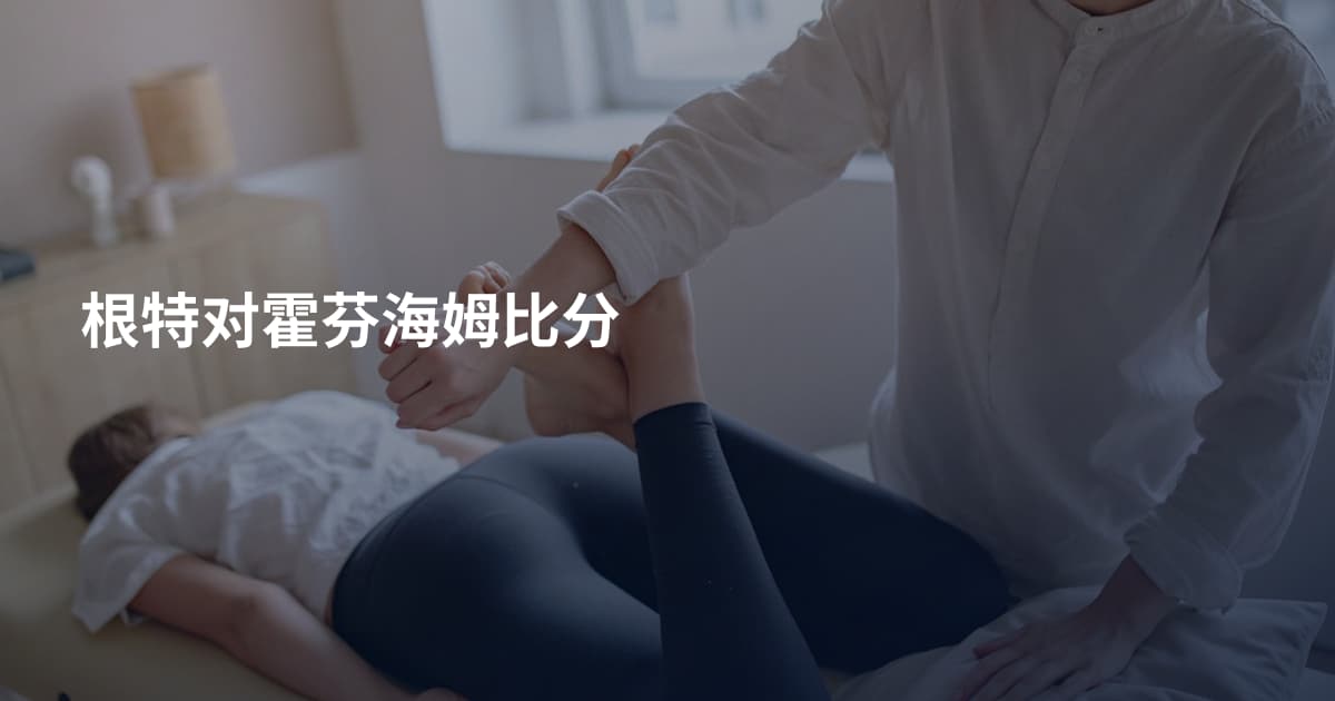 根特对霍芬海姆比分