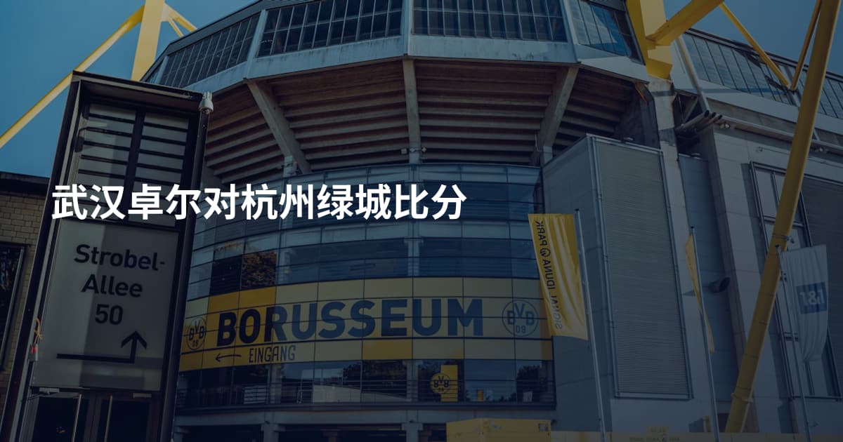 武汉卓尔对杭州绿城比分