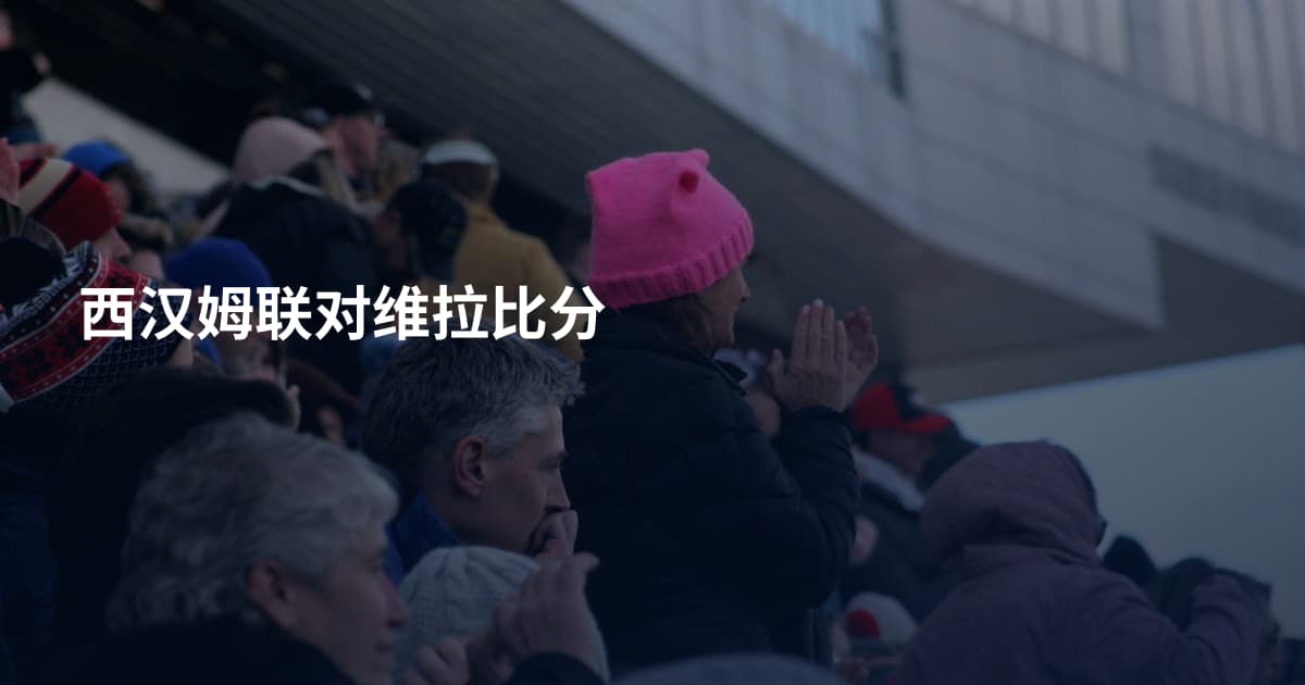 西汉姆联对维拉比分