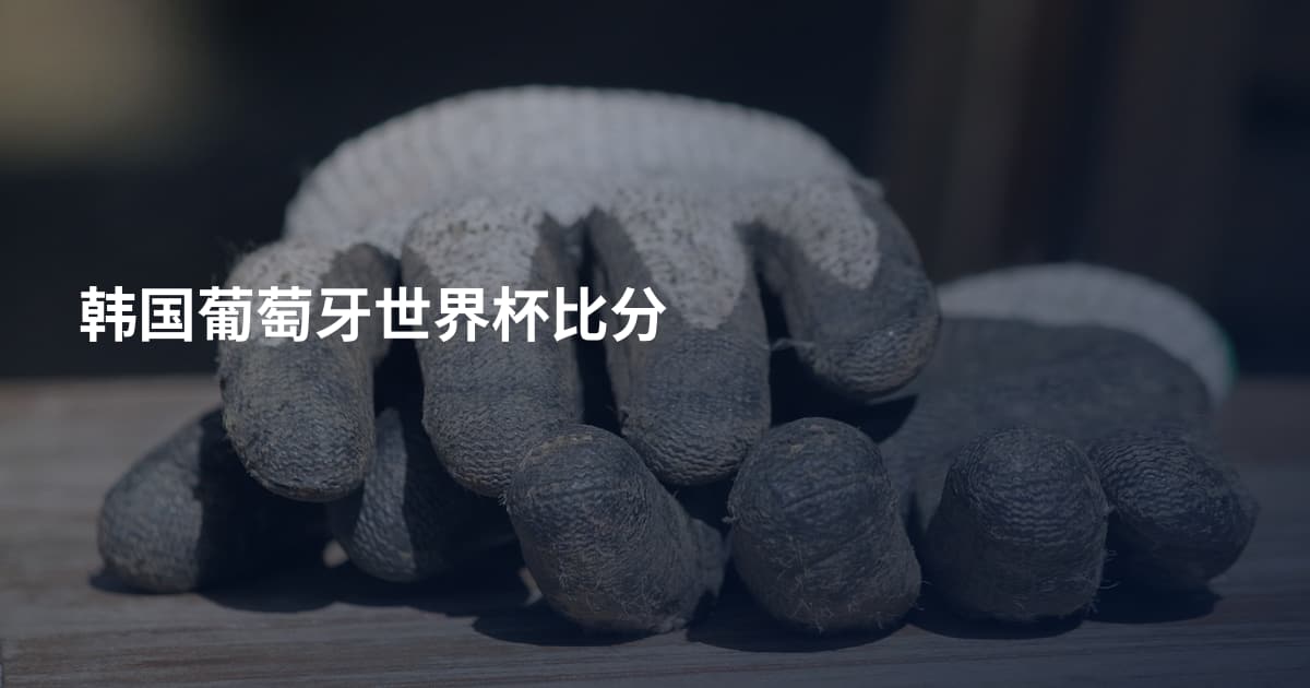 韩国葡萄牙世界杯比分