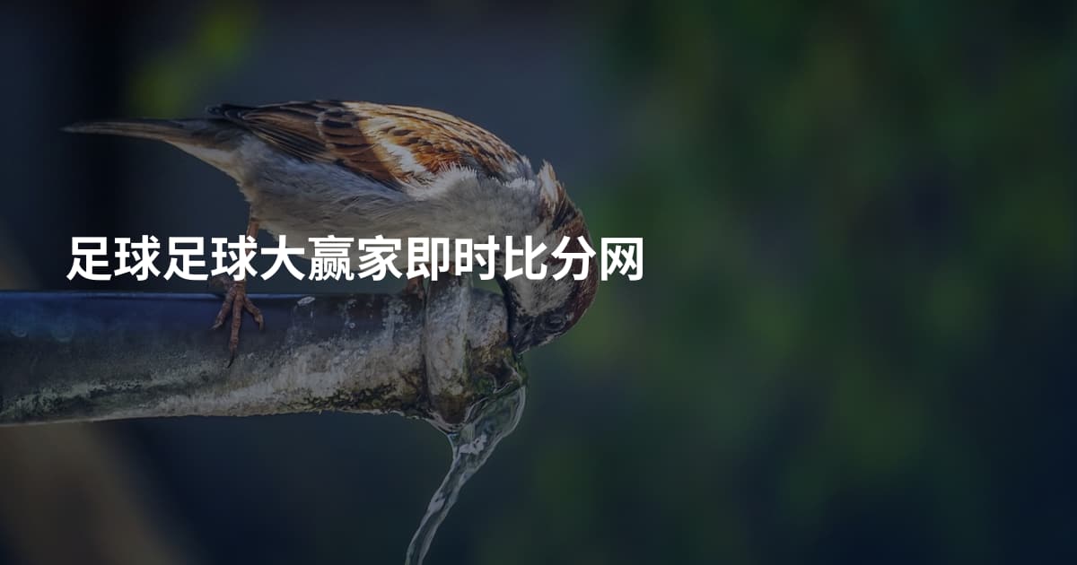 足球足球大赢家即时比分网