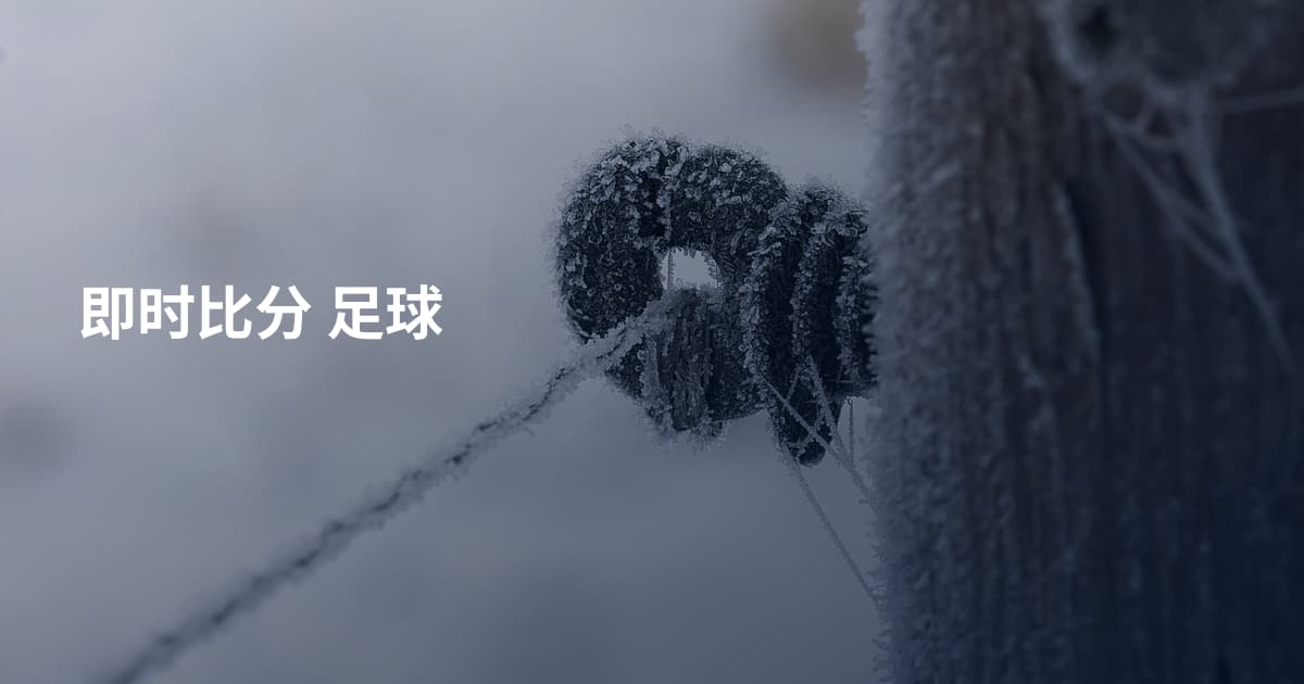 即时比分 足球
