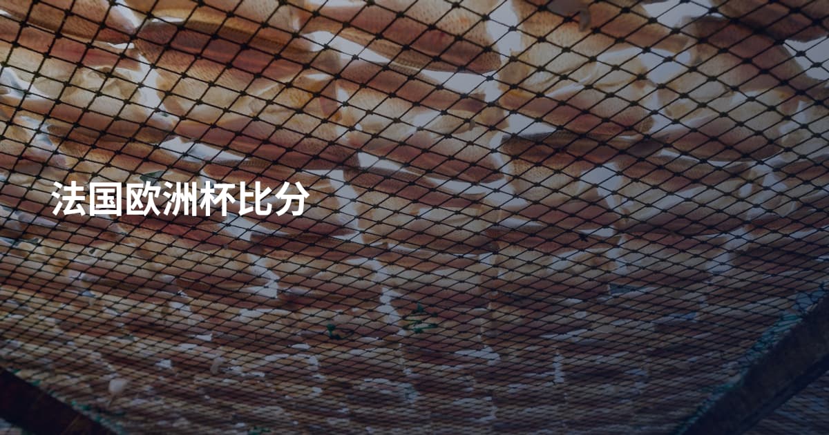 法国欧洲杯比分