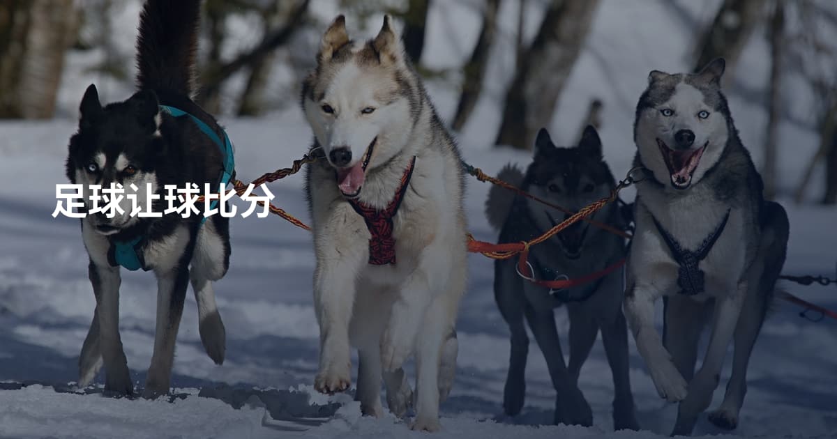 足球让球比分