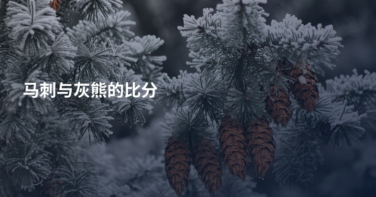 马刺与灰熊的比分