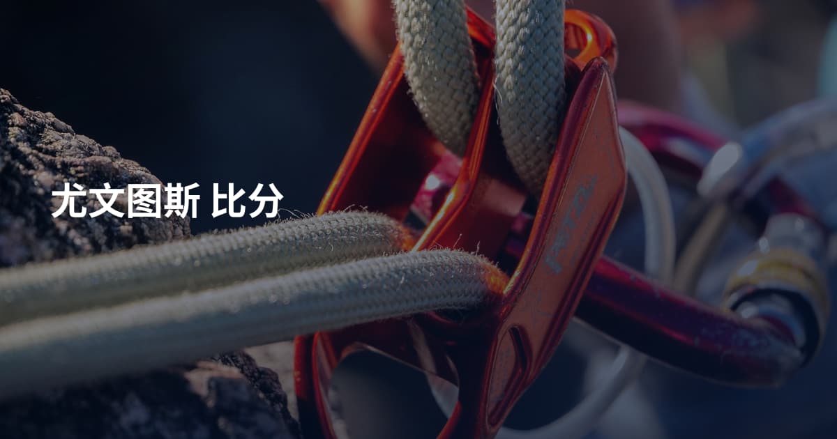 尤文图斯 比分