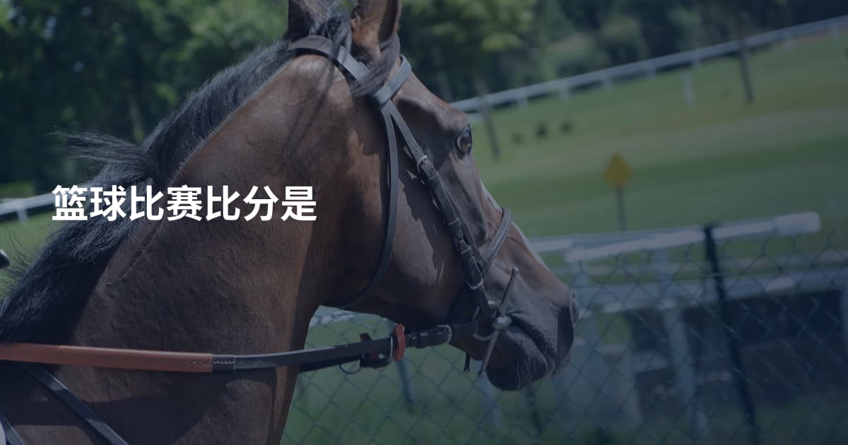 篮球比赛比分是