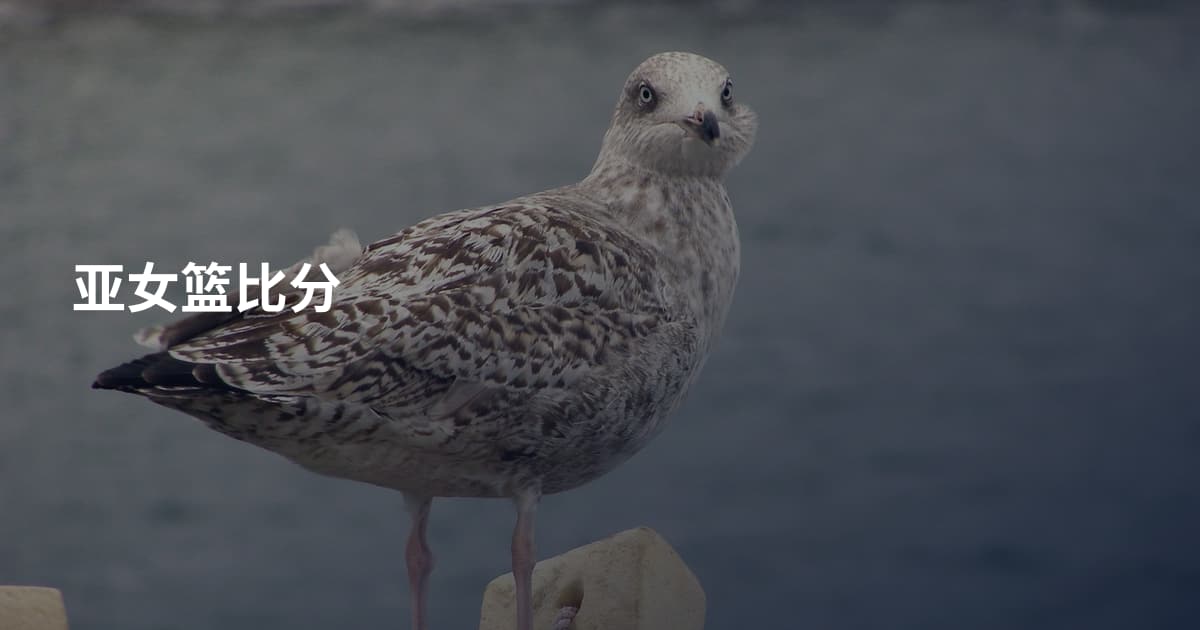 亚女篮比分