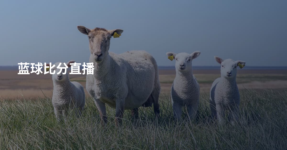 蓝球比分直播