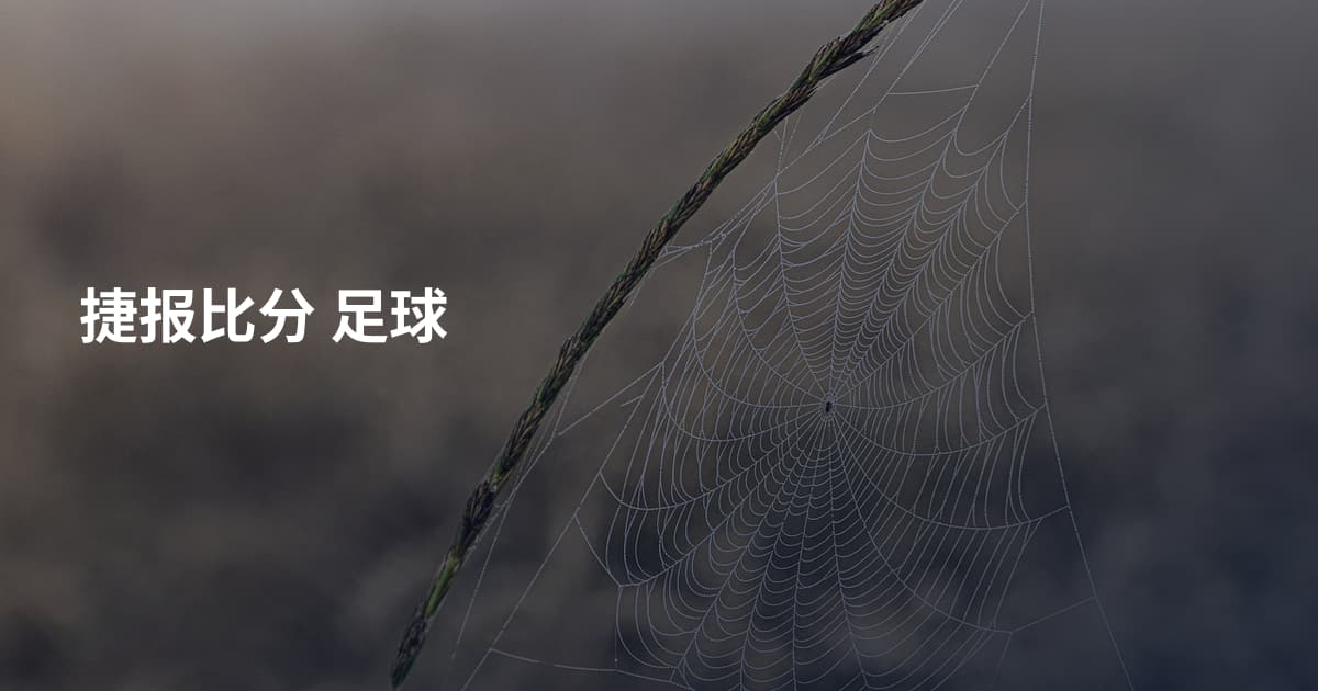 捷报比分 足球