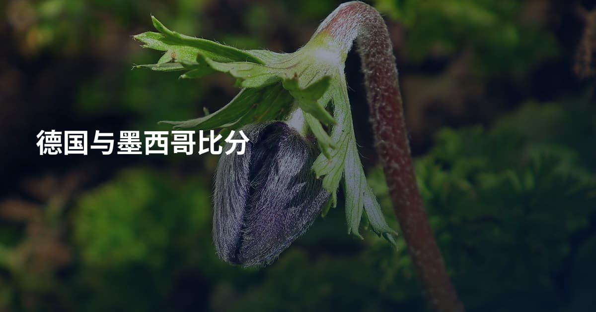 德国与墨西哥比分
