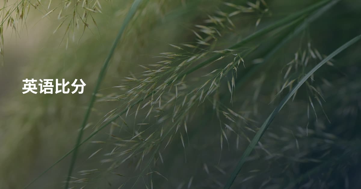 英语比分