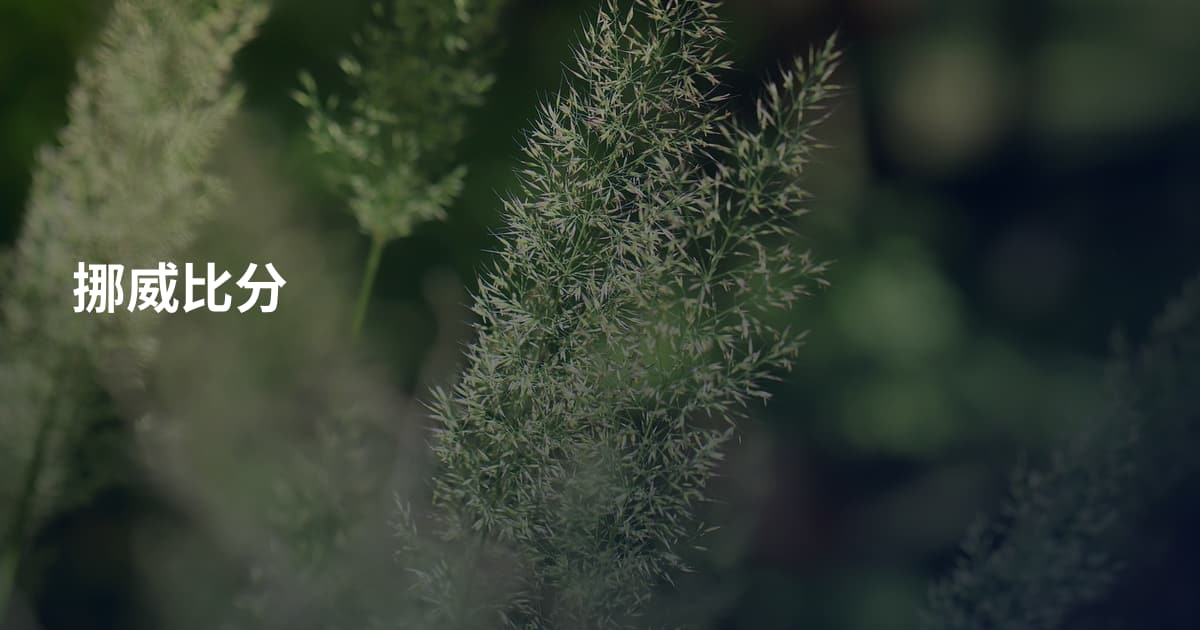 挪威比分