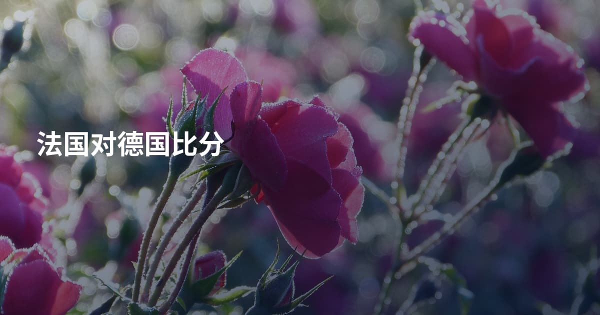 法国对德国比分