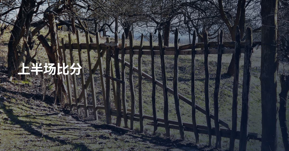 上半场比分