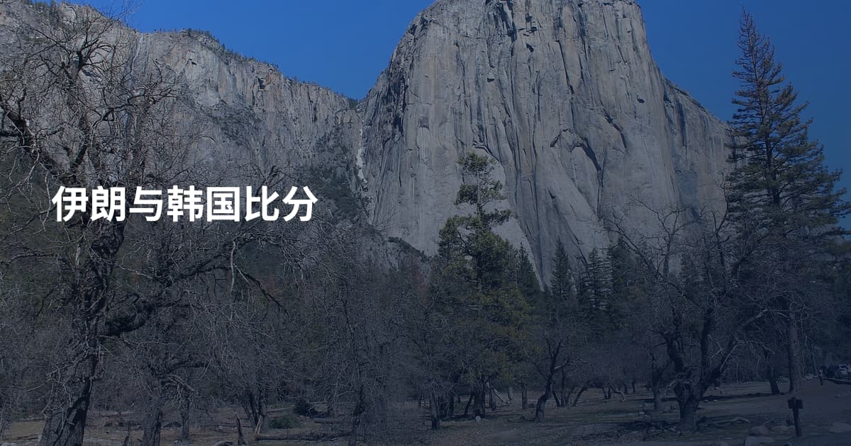 伊朗与韩国比分
