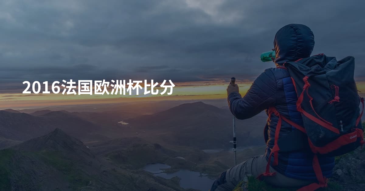2016法国欧洲杯比分