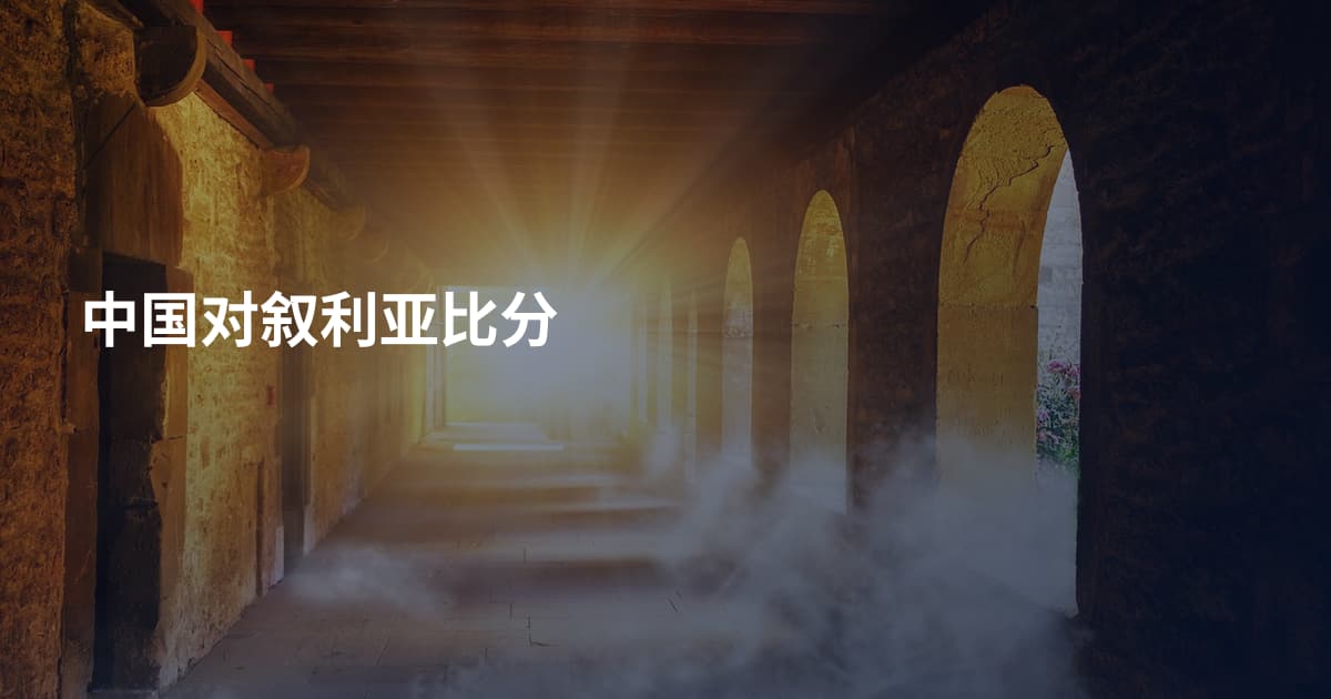 中国对叙利亚比分