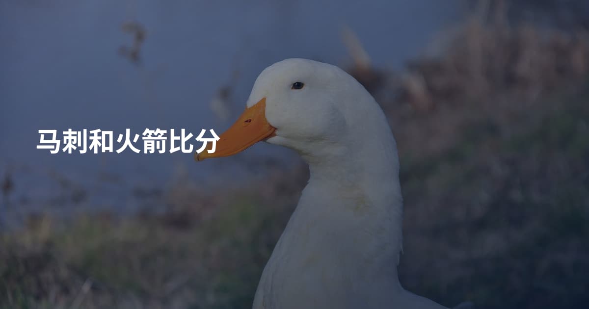 马刺和火箭比分