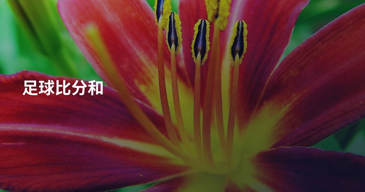 足球比分和