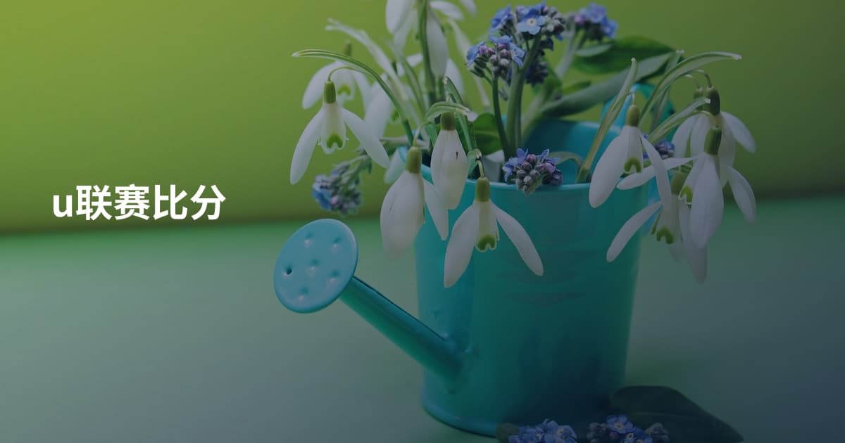 u联赛比分