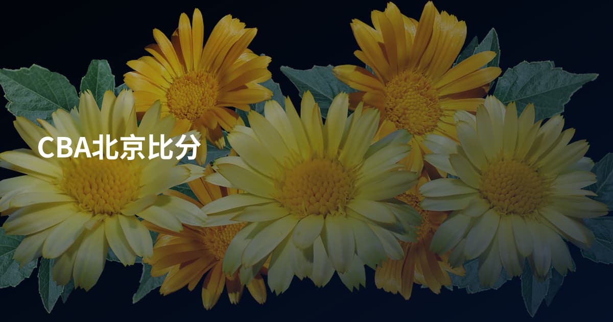 CBA北京比分