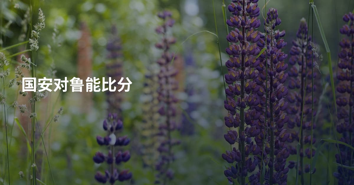 国安对鲁能比分
