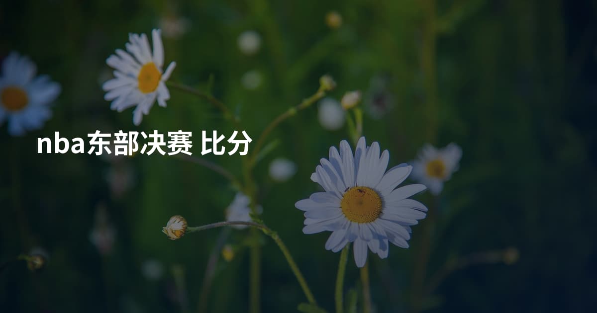 nba东部决赛 比分