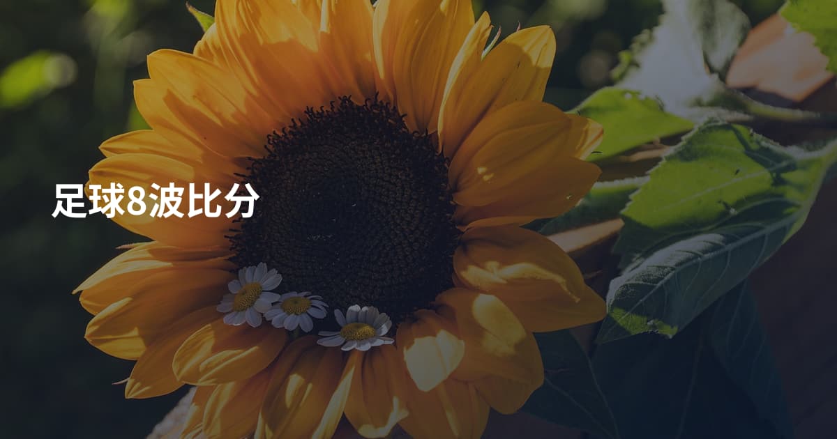 足球8波比分