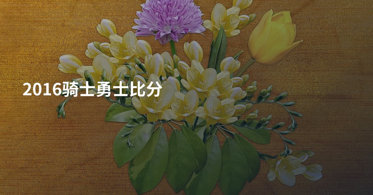 2016骑士勇士比分