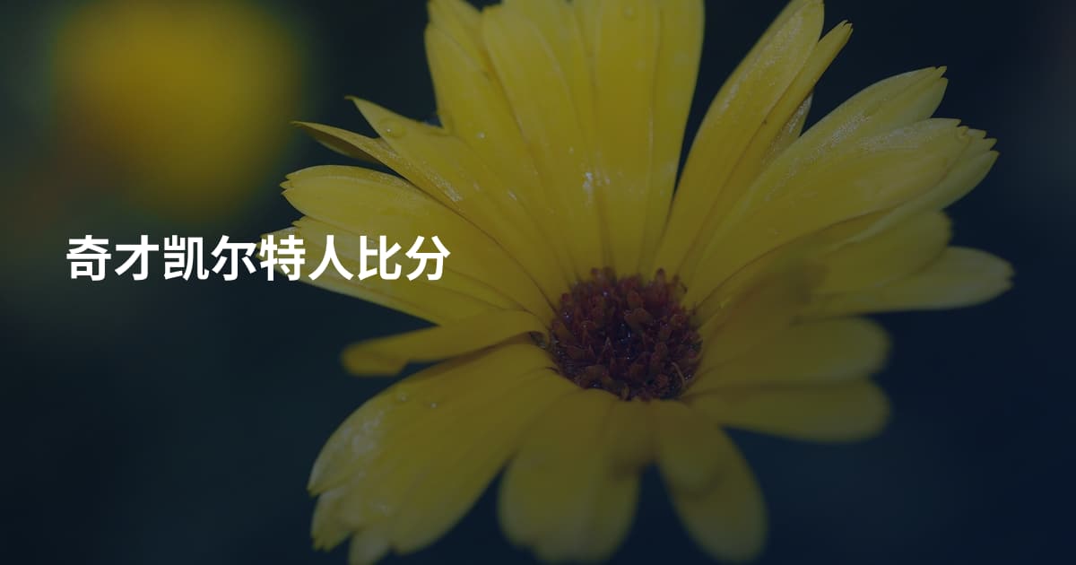 奇才凯尔特人比分
