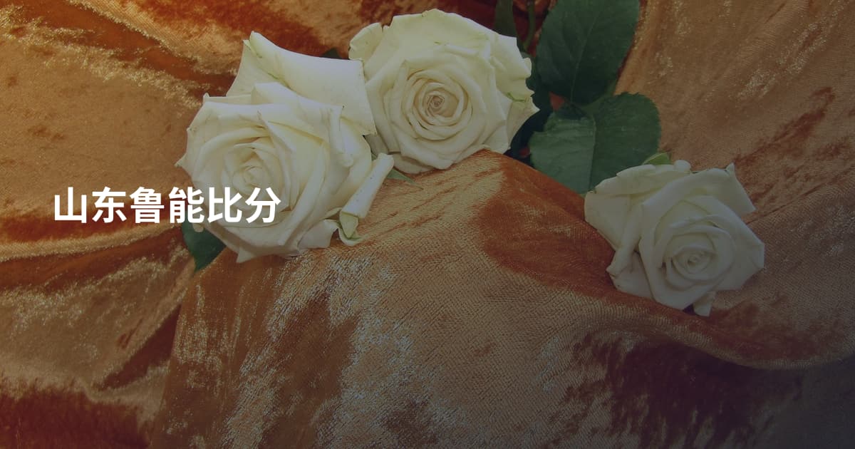 山东鲁能比分