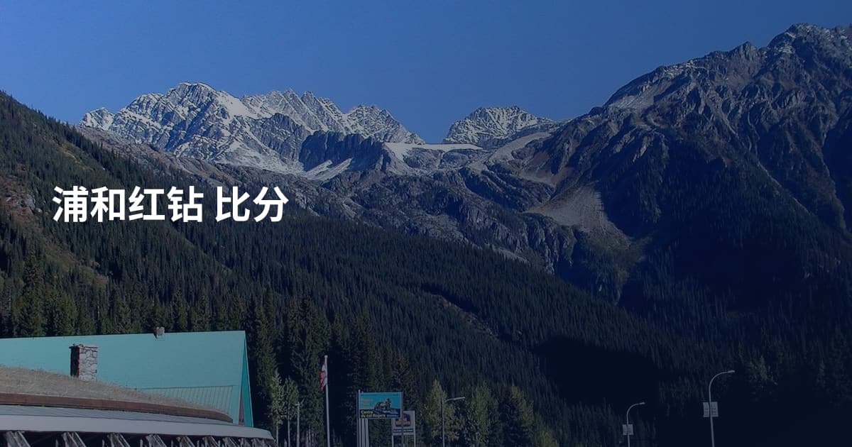 浦和红钻 比分