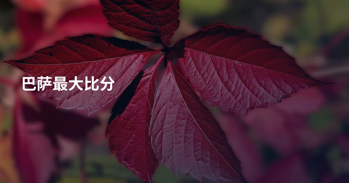 巴萨最大比分