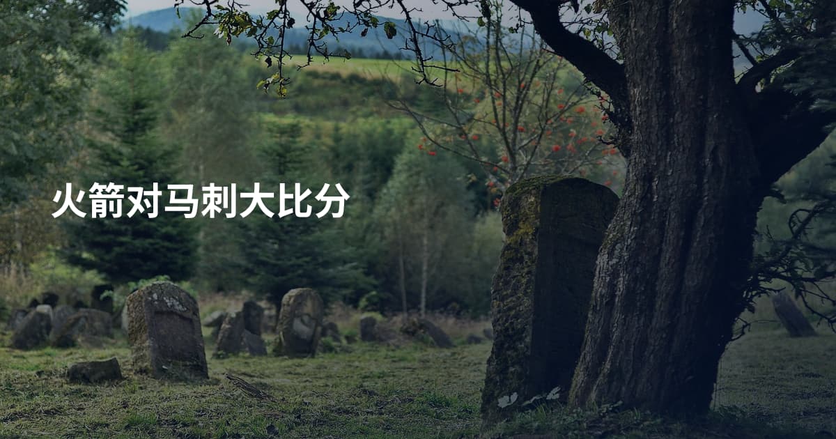 火箭对马刺大比分